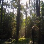 Dbajmy o przyrodę - nasz skarb
