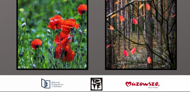 "Piękno jest wszędzie" - wernisaż wystawy fotograficznej Barbary Polakowskiej i Teresy Okrój
